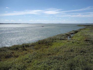 Lebsko Gölü, sazlık ve küçük bir gemi