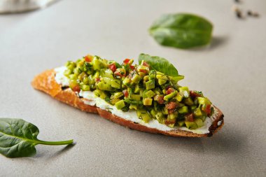 Bruschetta avokado krem peynir domates ve salatalık ile yakın çekim portresi. Altın kabuk ve yeşil taze yaprakları ile ekmek. Gri arka plan üzerinde izole