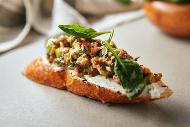 Krem peynir ve yılan balığı ile ekmek dilim yakın yukarı portre. Lezzetli snack dolgu ile kaplıdır. Deniz ürünleri konsepti