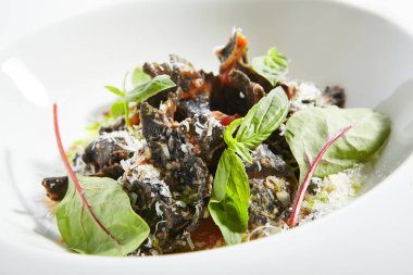 Siyah Mantı, Tortellini, Doldurulmuş Makarna Kapat Izole