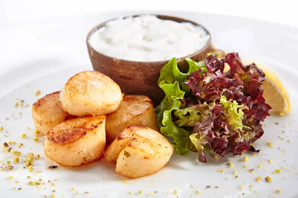 Fried Sea Scallop with White Sauce Isolated — Stock Photo, Image