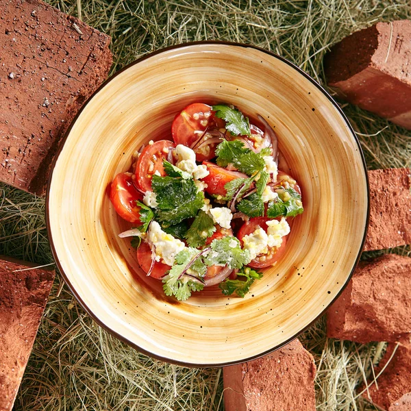 Salada de tomate com cebola vermelha — Fotografia de Stock