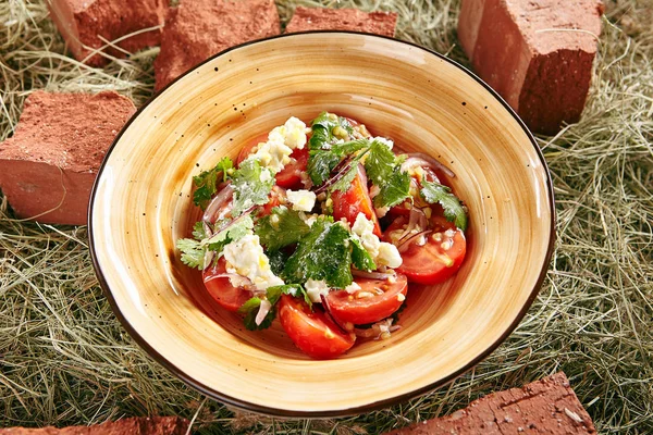 Salada de tomate com cebola vermelha — Fotografia de Stock