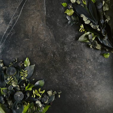Doğal siyah taş giriş üzerinde koyu yeşil tropikal yaprakları mockup