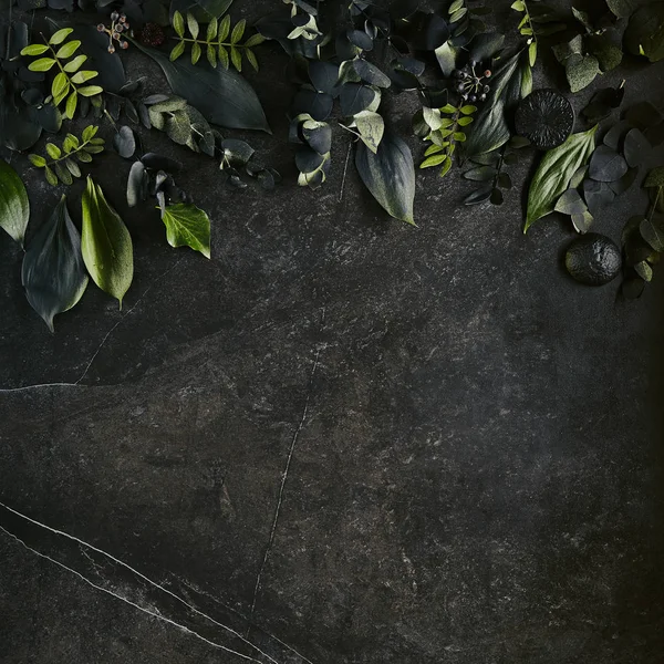 Hojas tropicales de color verde oscuro maqueta sobre fondo de piedra negra natural —  Fotos de Stock