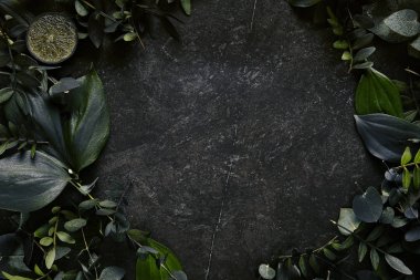 Koyu yeşil tropikal yaprakları doğal siyah taş arka plan zekâ