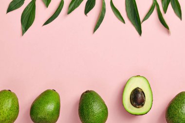 Renkli arka planda avokado çerçevesi