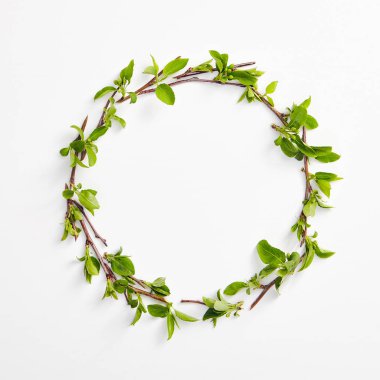 Yeşil Bahar Yaprakları Sınır ile Yaratıcı Organik Eko Kavramı