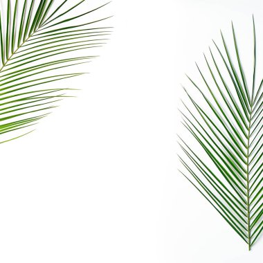 Doğa en az kavramı