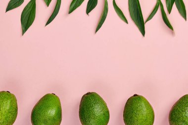 Renkli arka planda avokado çerçevesi