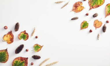 Yaratıcı minimal sonbahar konsepti. Sonbahar yapraklarından yapılmış kompozisyon. Düz Lay. En İyi Görüntü