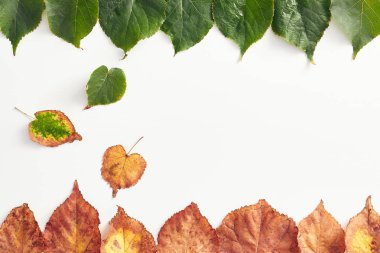 Yaratıcı asgari sonbahar konsepti. Eğimli sonbahar yapraklarından yapılmış bir çerçeve. Fall Flat Lay. Üst Görünüm