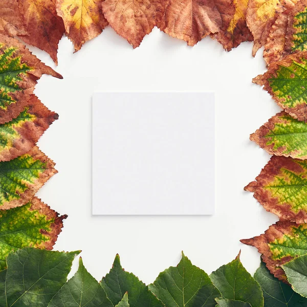 Creative minimal autumn concept. Frame made of green and red autumn leaves. Gradient Fall Flat Lay. Top View
