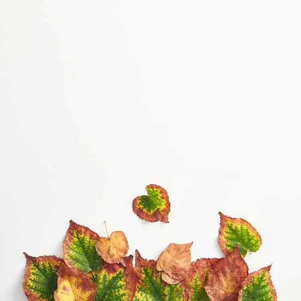 Creative minimal autumn concept. Top View of autumn leaves. Fall Flat Lay.