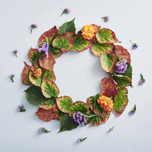Creative minimal autumn concept. Wreath made of autumn leaves and flowers. Fall Flat Lay. Top View