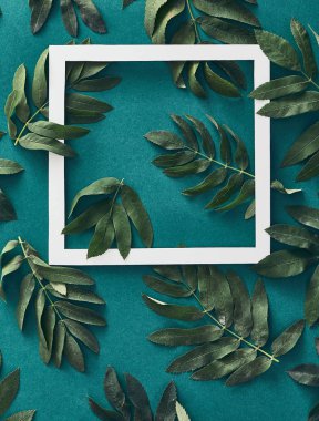 Orman sorbus ve yeşil arka plan üzerinde üst görünüm bırakır