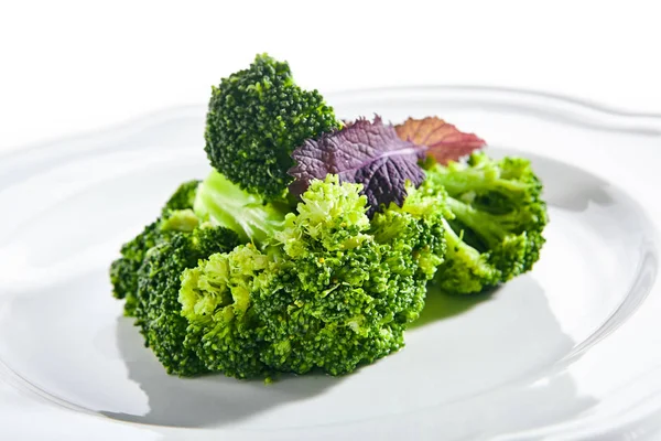 Macro Shot of Steamed Broccoli on White Restaurant Plate Isolate