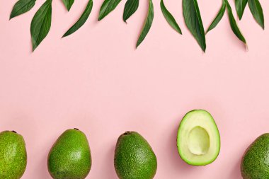 Renkli arka planda avokado çerçevesi