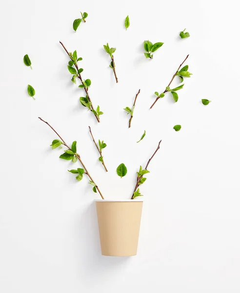 Creative Organic ziołowe eko napój koncepcja z zielonych liści — Zdjęcie stockowe