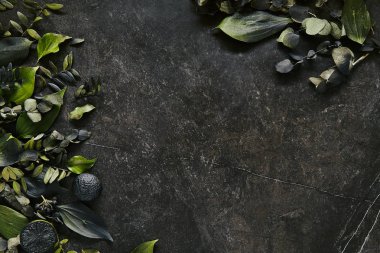 Doğal siyah taş giriş üzerinde koyu yeşil tropikal yaprakları mockup