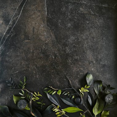 Doğal siyah taş giriş üzerinde koyu yeşil tropikal yaprakları mockup