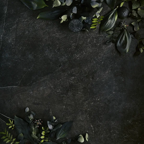 ダークグリーンの熱帯の葉は、天然の黒い石のバックグロにモックアップ — ストック写真