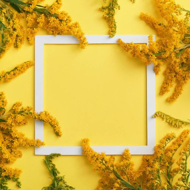 Solidago flower on pastel background with white square frame clipart