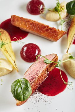 Ördek Göğsü Nefis Porsiyon Yaratıcı Moleküler Çanak, Fırında 