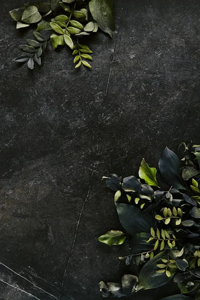 Hojas tropicales de color verde oscuro maqueta sobre fondo de piedra negra natural —  Fotos de Stock