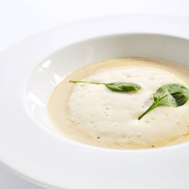 Boletus orman mantar closeup ile Krem çorba