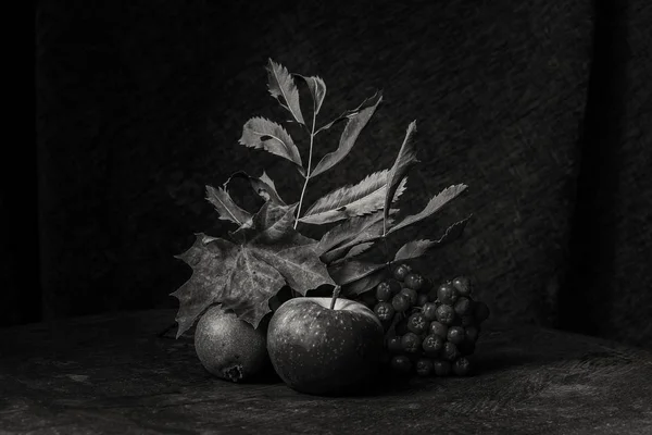 Černá a bílá zátiší podzimu — Stock fotografie