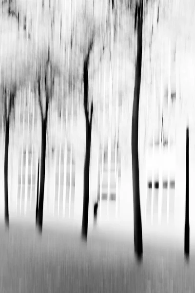 Artistic motion blur image of black tree trunks and a small person with a light building in the background in November.