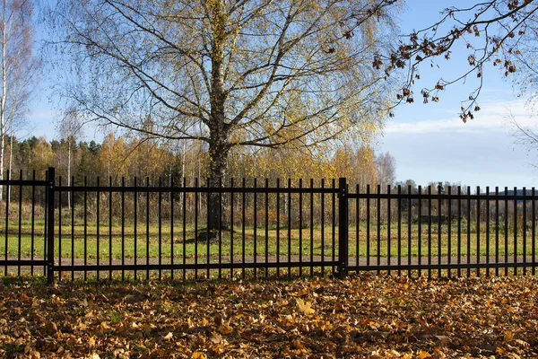 黒塀と紅葉と秋にスウェーデンの公園 — ストック写真