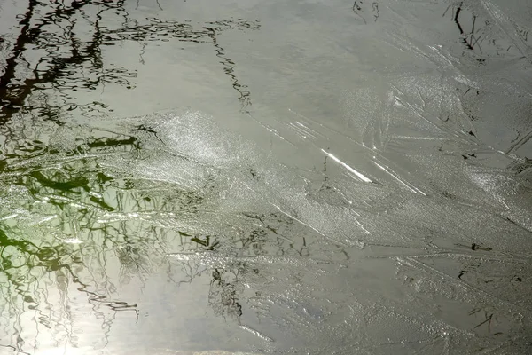 Tunn Vatten Med Reflektion Från Träd Solig Vårdag — Stockfoto