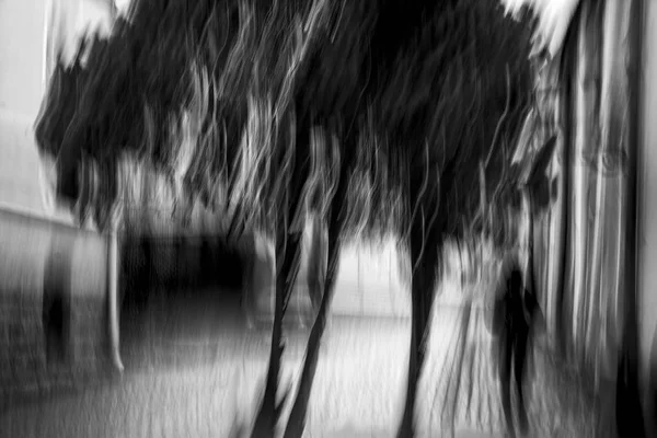 Текстурований Рух Розмиває Абстрактне Вуличне Зображення Людини Йде Дерево — стокове фото