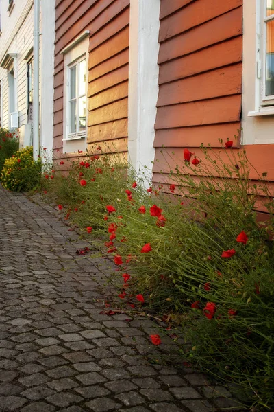 石畳とポピーのスウェーデンの美しい通り. — ストック写真