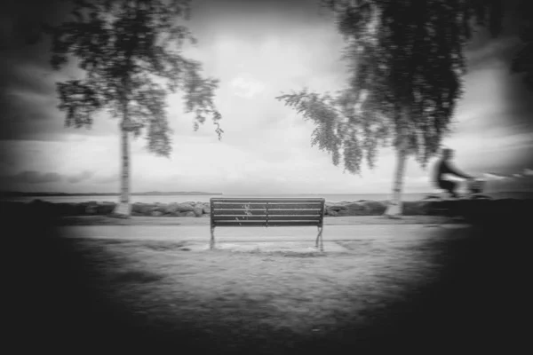 Neskutečný sen jako obraz v měkkém rozmazání lavičky se stromy a — Stock fotografie