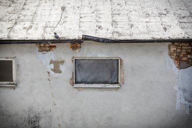 Çatıda güvercin ile kentsel decaing bina.