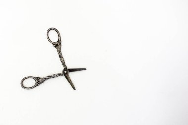 Kopya alanı ile izole edilmiş üzüm makası