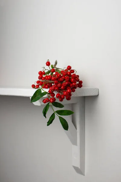 Rowan Berries Still Life White Old Fashioned Shabby Chic Shelf — Stock Photo, Image