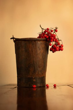 Eski ahşap masadaki çilekli, paslı kovayla dolu bir hayat. 