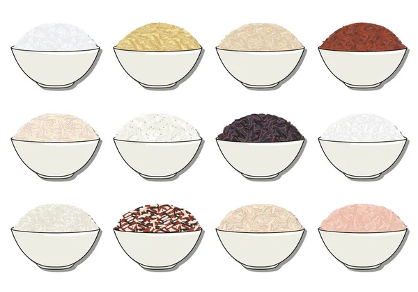 Set Confezioni Cereali Cereali Noci Sullo Scaffale Conservazione Cucina Illustrazione — Vettoriale Stock