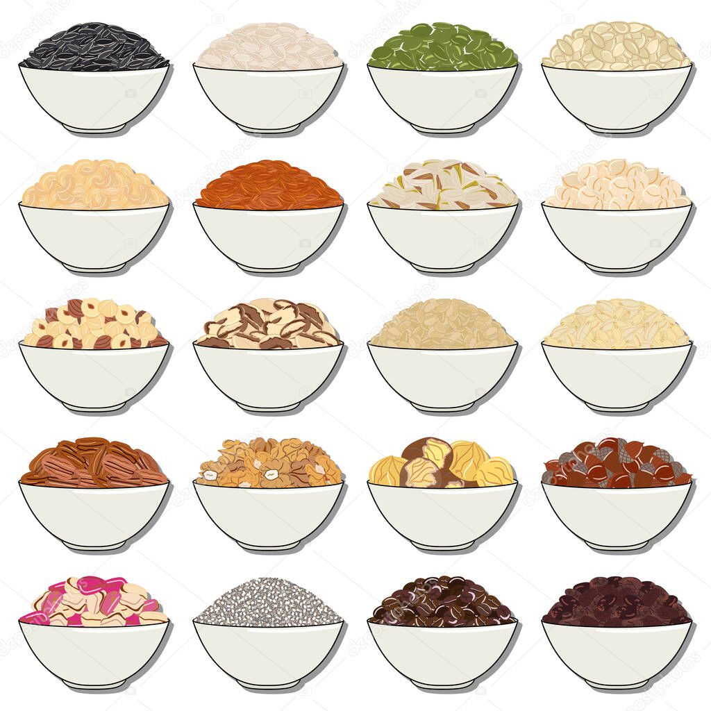 Set of packs of cereals, grains, nuts on shelf for kitchen storage. Hand drawn vector illustration. Isolated on white background.
