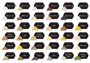 Tahıl, tahıl ve fındık paketlerini mutfak deposuna koyun. El çizimi vektör çizimi. Beyaz arkaplanda izole.