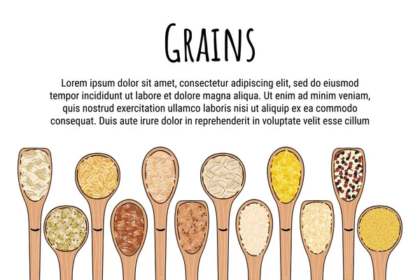 Conjunto Paquetes Cereales Granos Nueces Estante Para Almacenamiento Cocina Ilustración — Archivo Imágenes Vectoriales