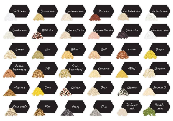 Комплект Упаковки Зерновых Зерновых Орехов Полке Хранения Кухне Ручной Рисунок — стоковый вектор