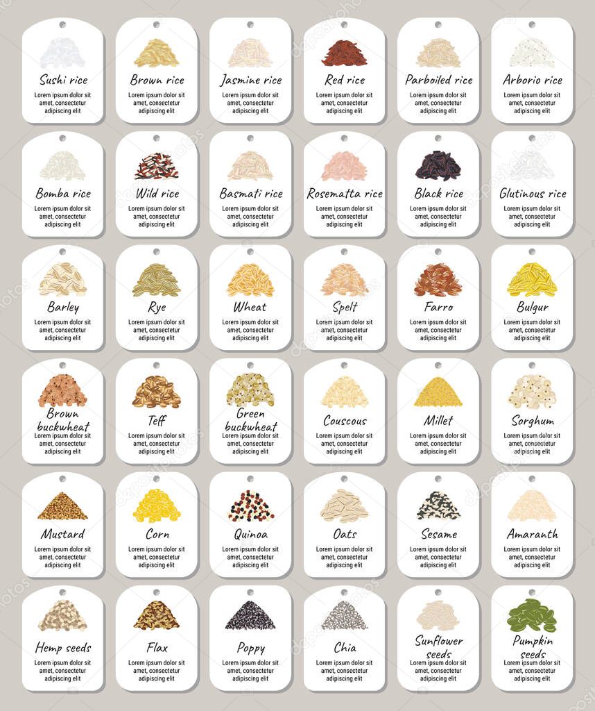 Set of packs of cereals, grains, nuts on shelf for kitchen storage. Hand drawn vector illustration. Isolated on white background.