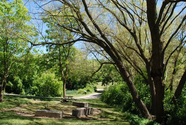 Pristine Park Landscape Natural Face Reality — Stock Photo, Image