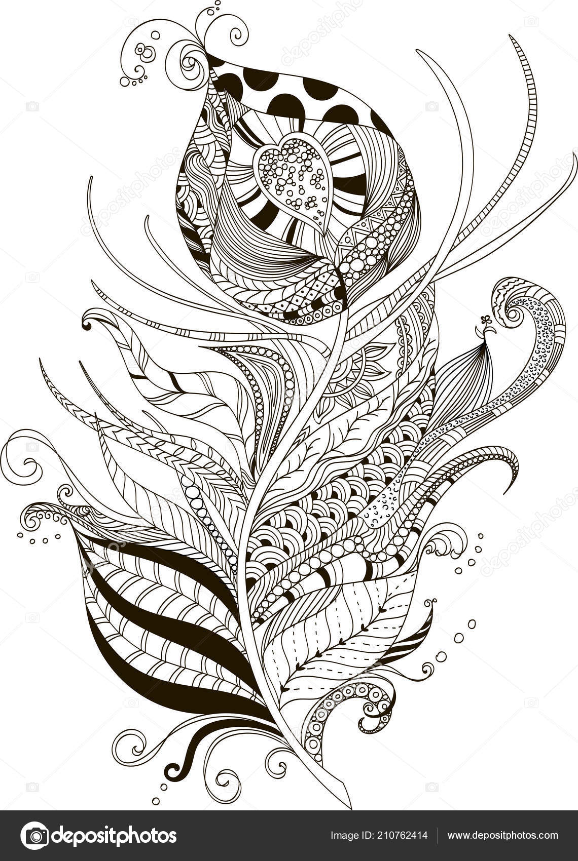 Drawing Peacock Feather Zentangle Style Coloring Book ...