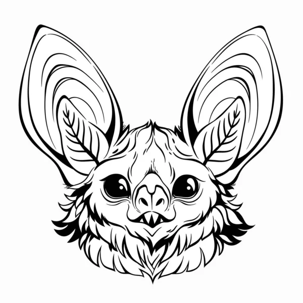 一只可爱的蝙蝠的头 长着闪亮的眼睛和大大的耳朵 — 图库矢量图片